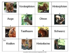 Eichhörnchen-Domino-1.pdf